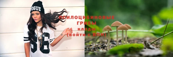 спайс Нея