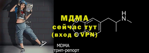 МДПВ Нефтегорск
