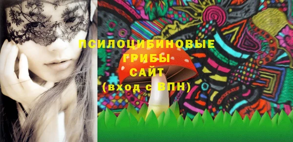 МДПВ Нефтегорск