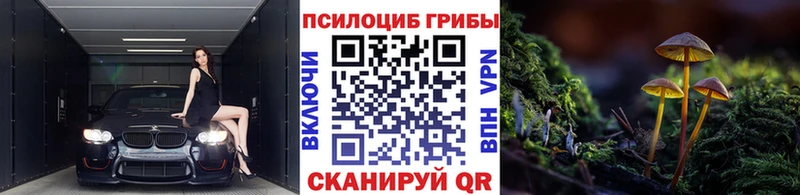 Псилоцибиновые грибы Cubensis  Звенигово 